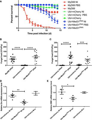 Differential Requirements for Mediator Complex Subunits in Drosophila melanogaster Host Defense Against Fungal and Bacterial Pathogens